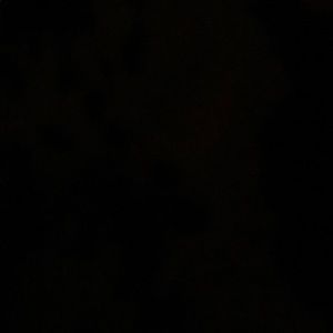 Meet your Posher, Betty